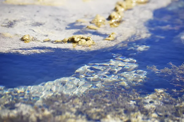 Deniz yatağı. kumlu alt yansıtılmış okyanus dalgalarının yansıması — Stok fotoğraf