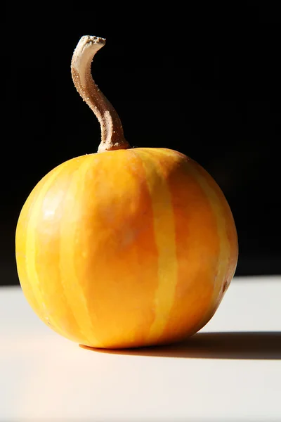 Küçük pumpkin.halloween dekoru — Stok fotoğraf