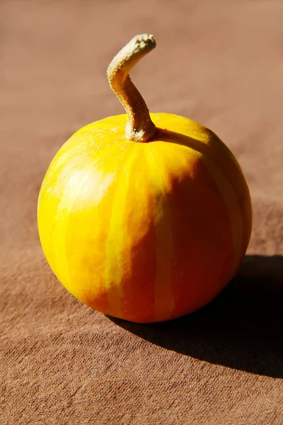 Kleines Kürbis.halloween Dekor — Stockfoto