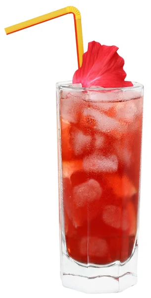 Cocktail com toranja e gelo em um copo — Fotografia de Stock