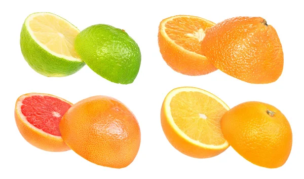 Set van citrusvruchten. — Stockfoto