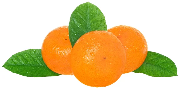 Mandarine mit Blatt — Stockfoto
