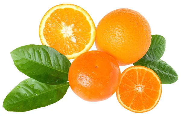 Orangen- und Mandarinenscheiben. — Stockfoto