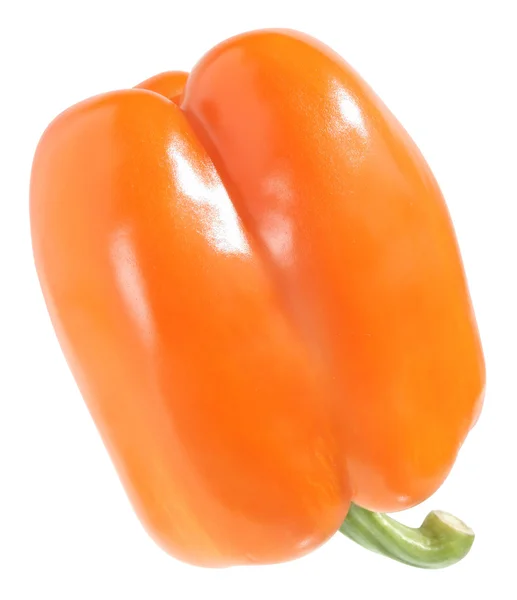 Oranje paprika — Stockfoto