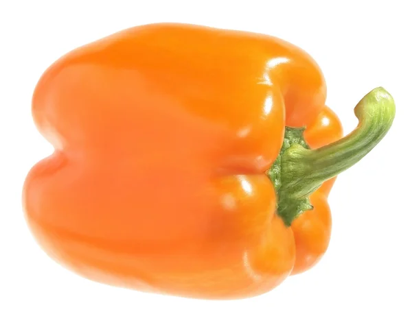 Oranje paprika — Stockfoto