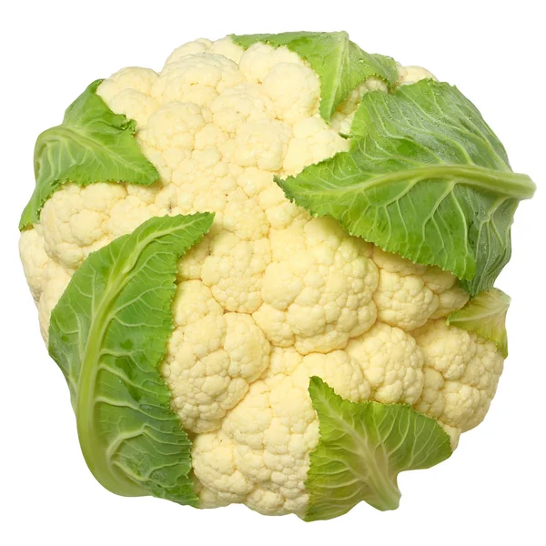 Cauliflower isolated — Stock Photo, Image