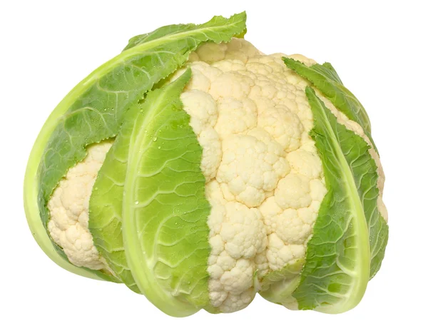 Cauliflower isolated — Stock Photo, Image