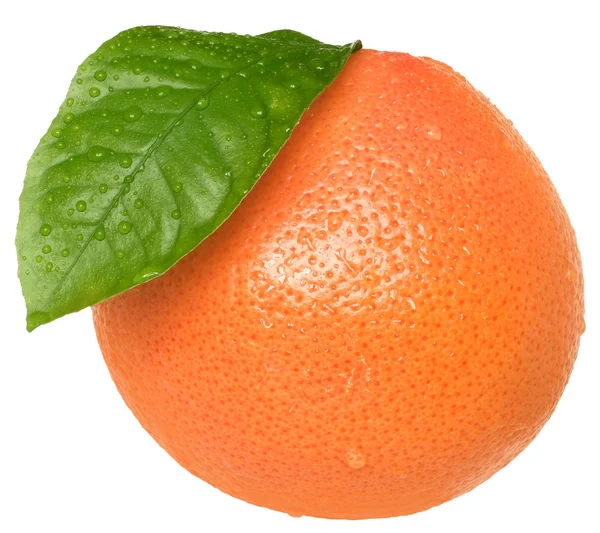 Полный грейпфрут с изолированным листом — стоковое фото