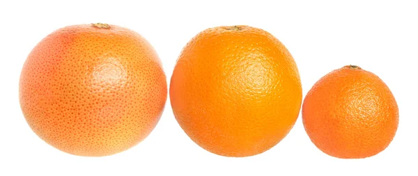 Uppsättning av citrusfrukter. — Stockfoto