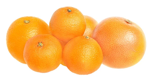 Set of citrus fruit. — Stock Photo, Image