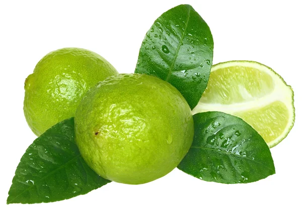 Limão fatiado com folha de perto — Fotografia de Stock