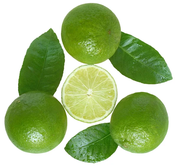 Lime fraîche avec vue sur le dessus des feuilles — Photo