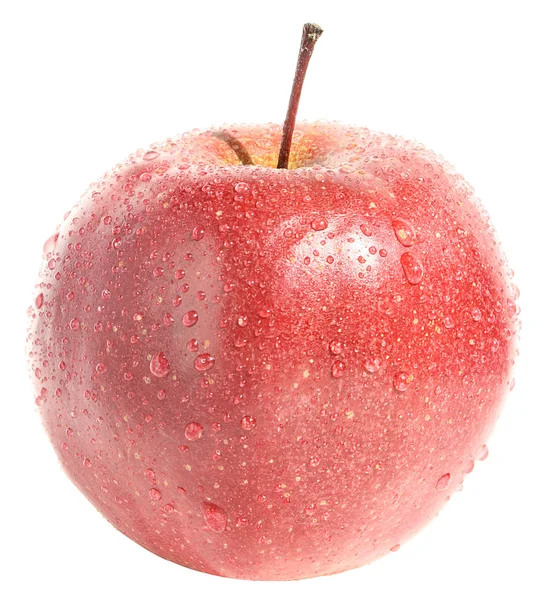 Красное яблоко. — стоковое фото