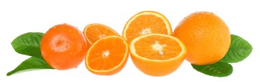 portakal ve mandalina dilimleri.