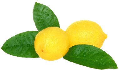 limon