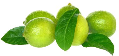 Limonlar