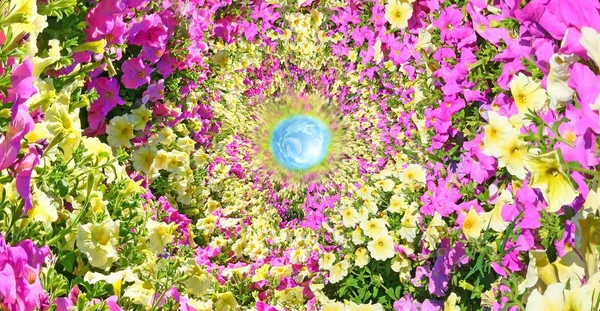 Fantastiska blommiga passage — Stockfoto