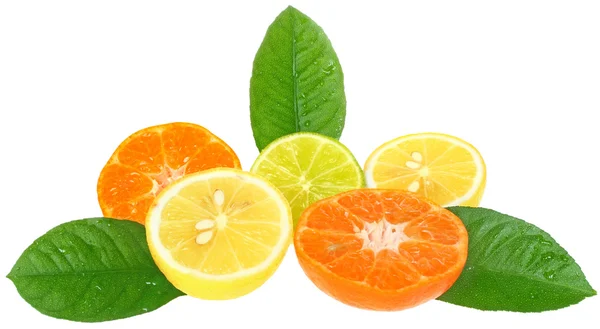 Arancio e limone . — Foto Stock