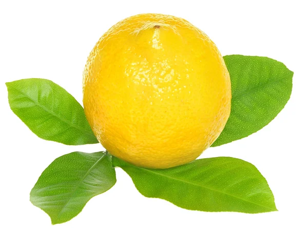 Lemon — Stock Photo, Image