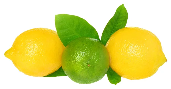 Limões e limões . — Fotografia de Stock