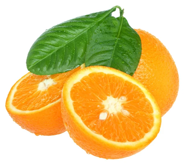 Orange — Stockfoto