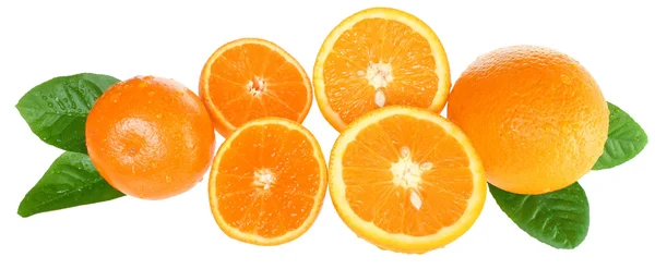 Orangen- und Mandarinenscheiben. — Stockfoto