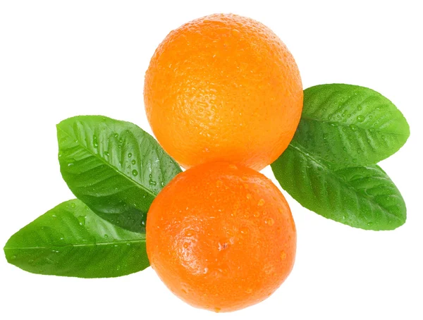 Apelsin och mandarin. — Stockfoto