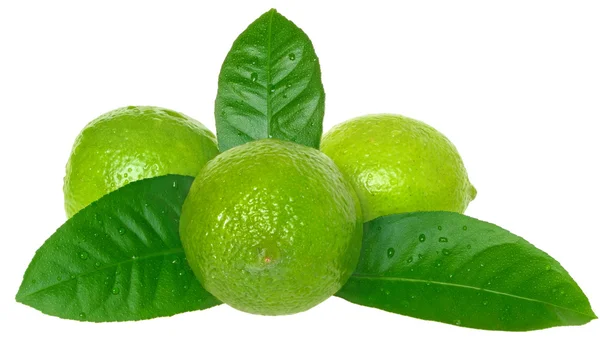 Limes — Stock Photo, Image