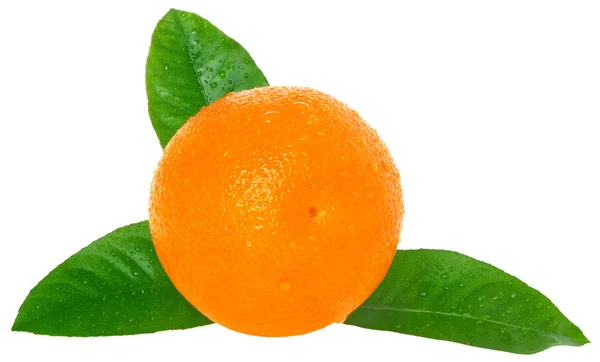 Tangerine — Stock Photo, Image