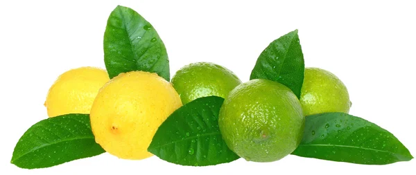 Lime és citrom. — Stock Fotó