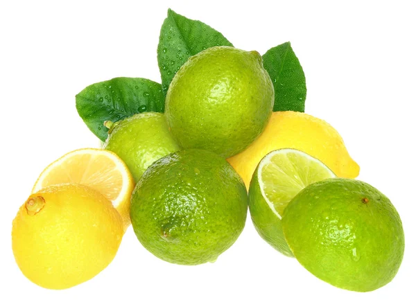 Limes dan lemon . — Stok Foto