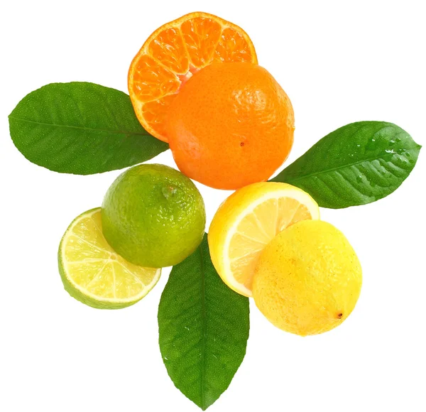 Orange and lemon. — Stock Photo, Image