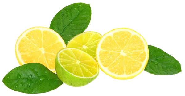 Lime és citrom. — Stock Fotó