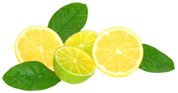 Limette e limoni . — Foto Stock