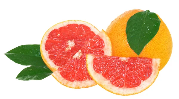 Grapefruit — Stockfoto