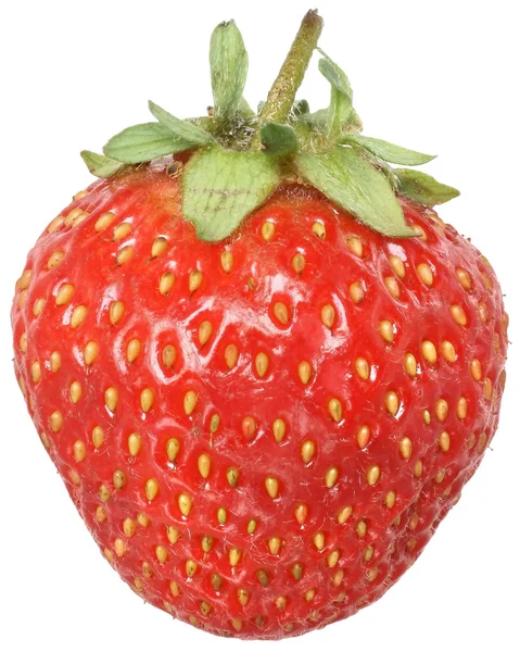 Ripe strawberry close up — Stock Photo, Image