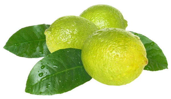 석 회와 레몬. — 스톡 사진