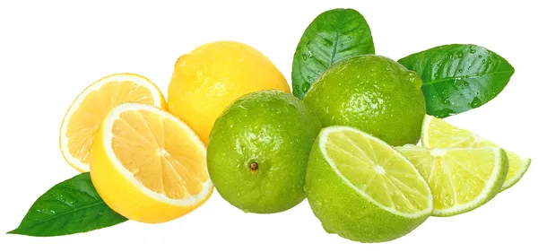 Limette e limoni . — Foto Stock