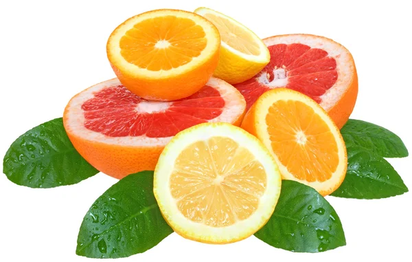 Orange, lemon and grapefruit — Stock Photo, Image