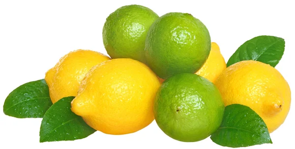 Limette e limoni . — Foto Stock