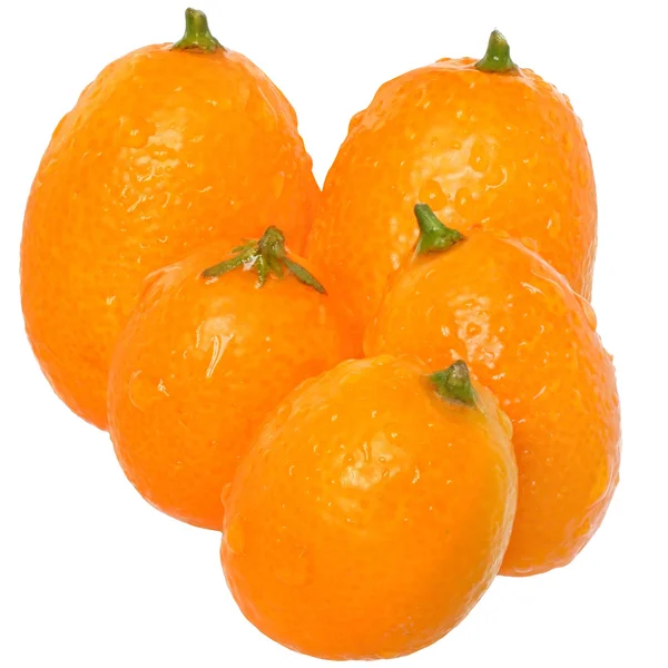 Grupo de kumquat fresco — Foto de Stock