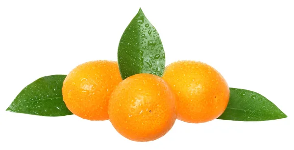 Grupo de kumquat fresco con hoja de cerca aislado —  Fotos de Stock