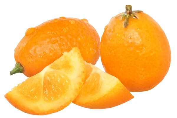 Sliced kumquat close up isolated — Stock Photo, Image
