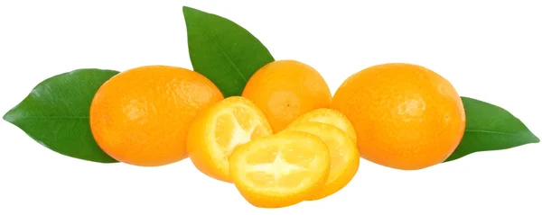Plátky kumquat — Stock fotografie