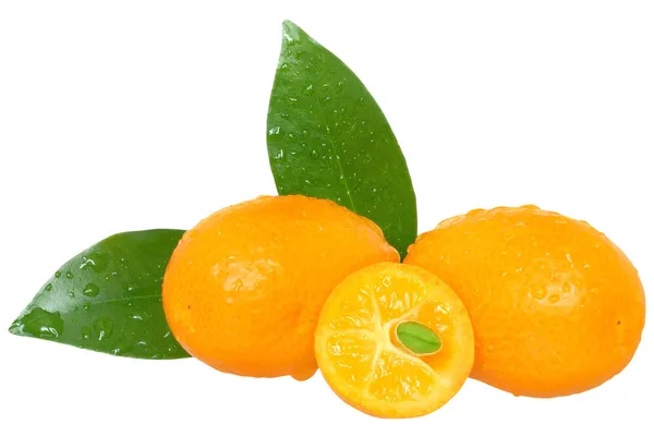 Kumquat affettato con foglia da vicino isolato . — Foto Stock