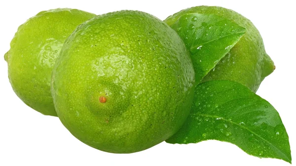 Three fresh wet lime with leaves close up — Stock Photo, Image