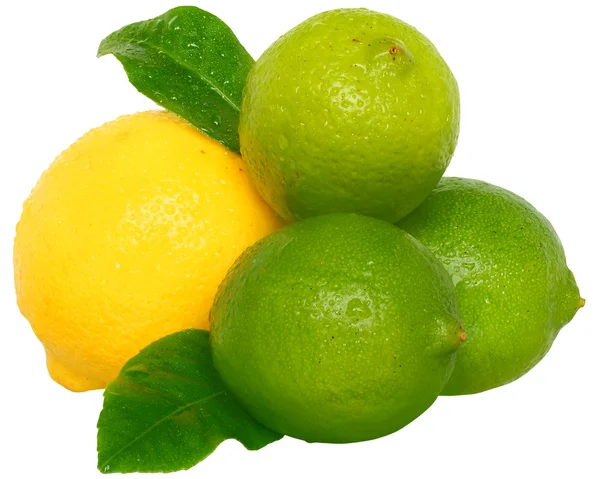 Heap limão fresco molhado e limão com folhas — Fotografia de Stock