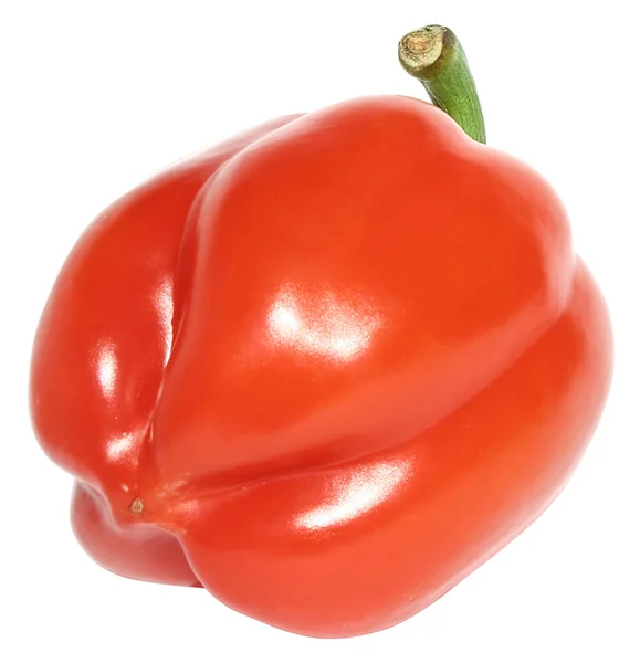 Paprika — Stockfoto