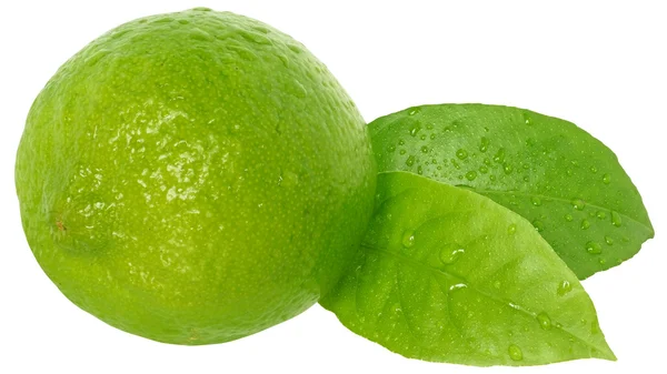 Verde lime fresco con foglia — Foto Stock