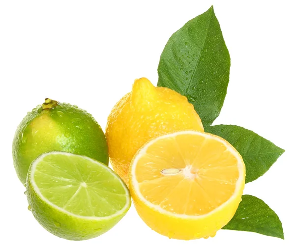 Limette e limoni . — Foto Stock